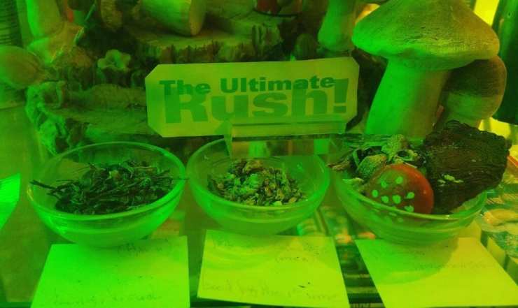 IMG_20161112_234343.a76ef047d8d24c03823acdf41c4ee7c8 (1).jpg