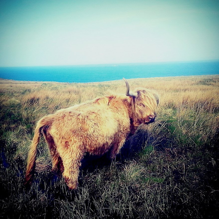 2017-07-16 03.31.06 2.jpg