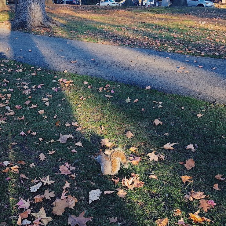 2017-11-16 05.23.33 1.jpg