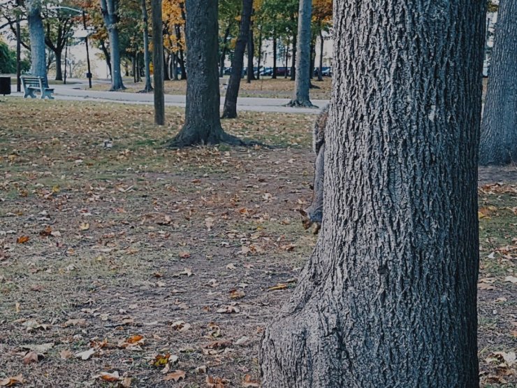 2017-11-04 06.32.25 1.jpg