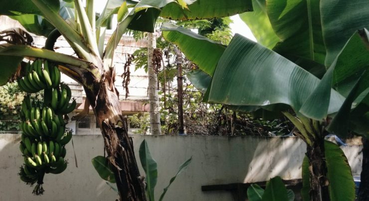 2019-01-04 10.05.09 1.jpg