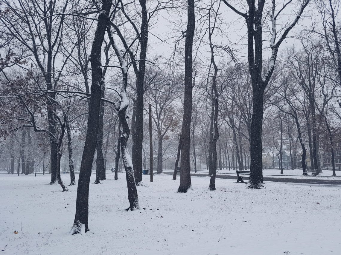 2017-12-09 02.53.42 1.jpg