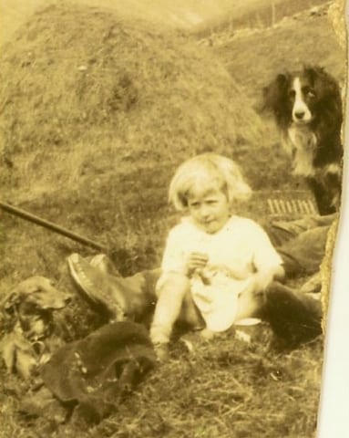 2017-03-28 12.52.26 1.jpg