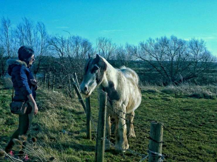 11041926_10152993141781195_8607937543094376744_o