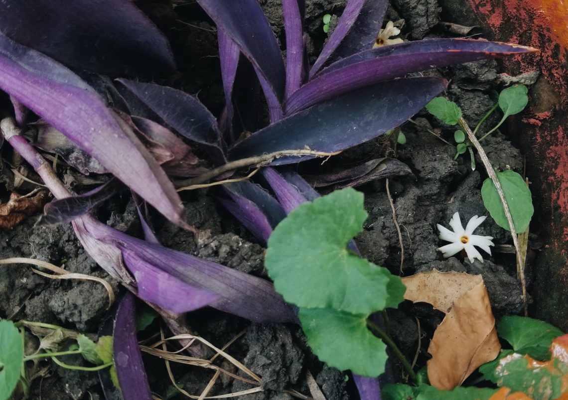 2019-01-04 10.05.07 1.jpg