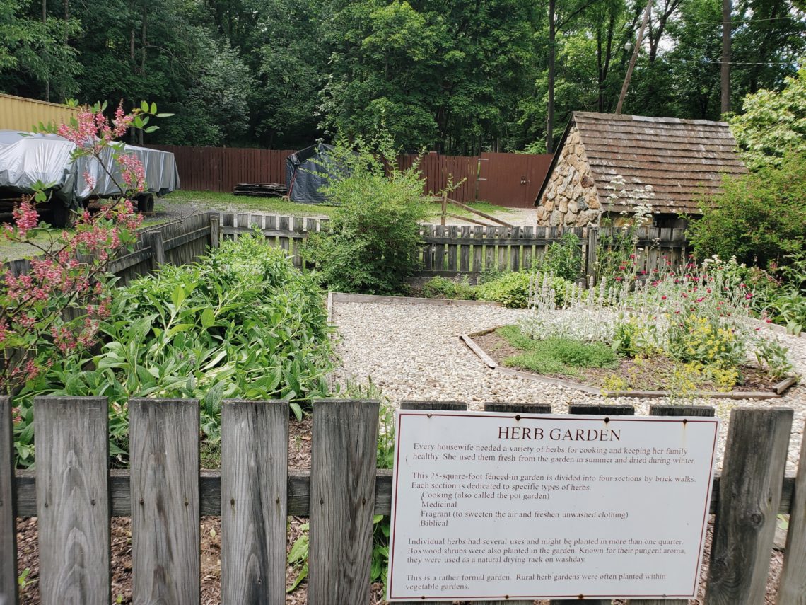 2019-07-10 06.35.07 1.jpg