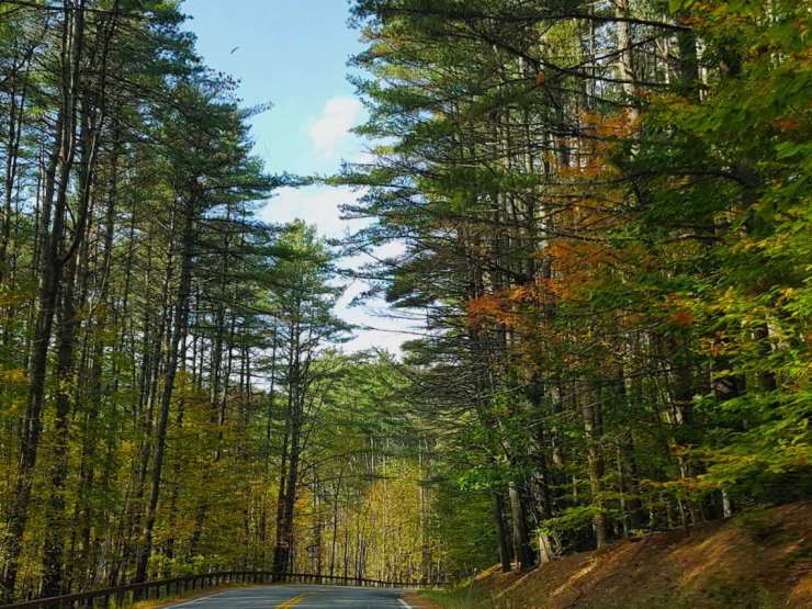 2017-10-18 08.13.12 1.jpg