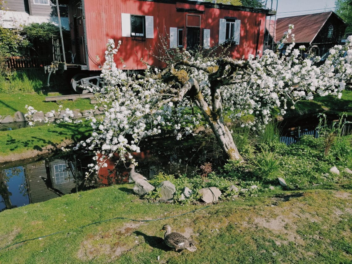 2018-04-28 07.56.02 1_1.jpg