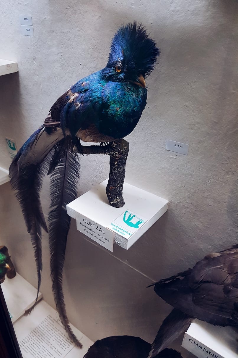 2017-04-07 02.42.55 1.jpg