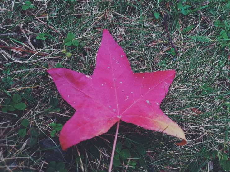 2017-10-25 06.20.31 1.jpg