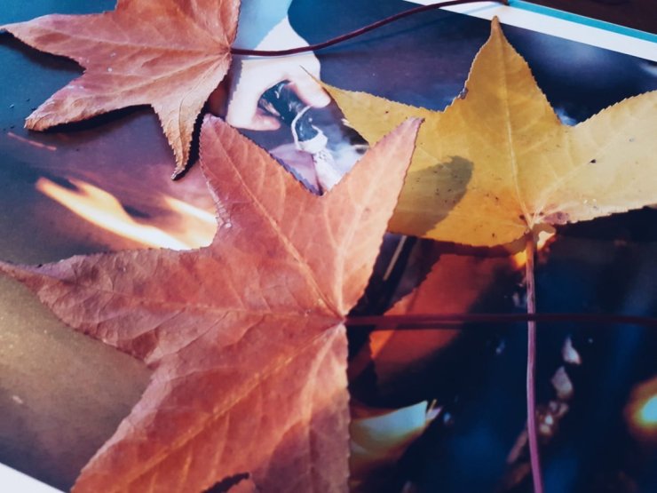 2017-10-25 06.19.55 1.jpg