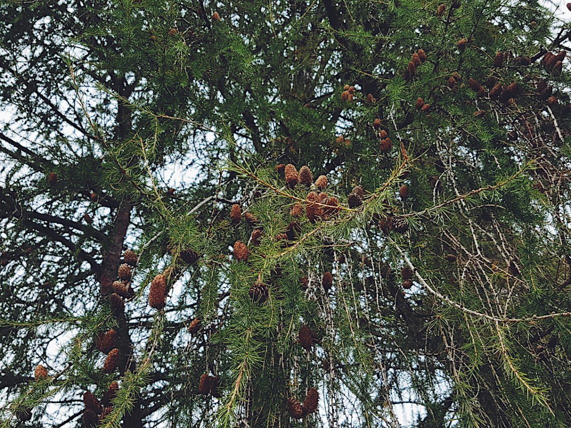 2017-11-01 04.27.21 2.jpg