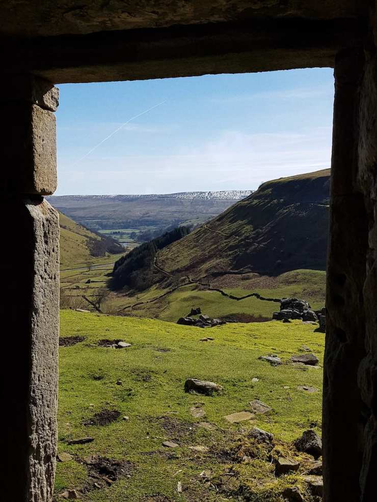 2017-03-26 07.26.09 1.jpg