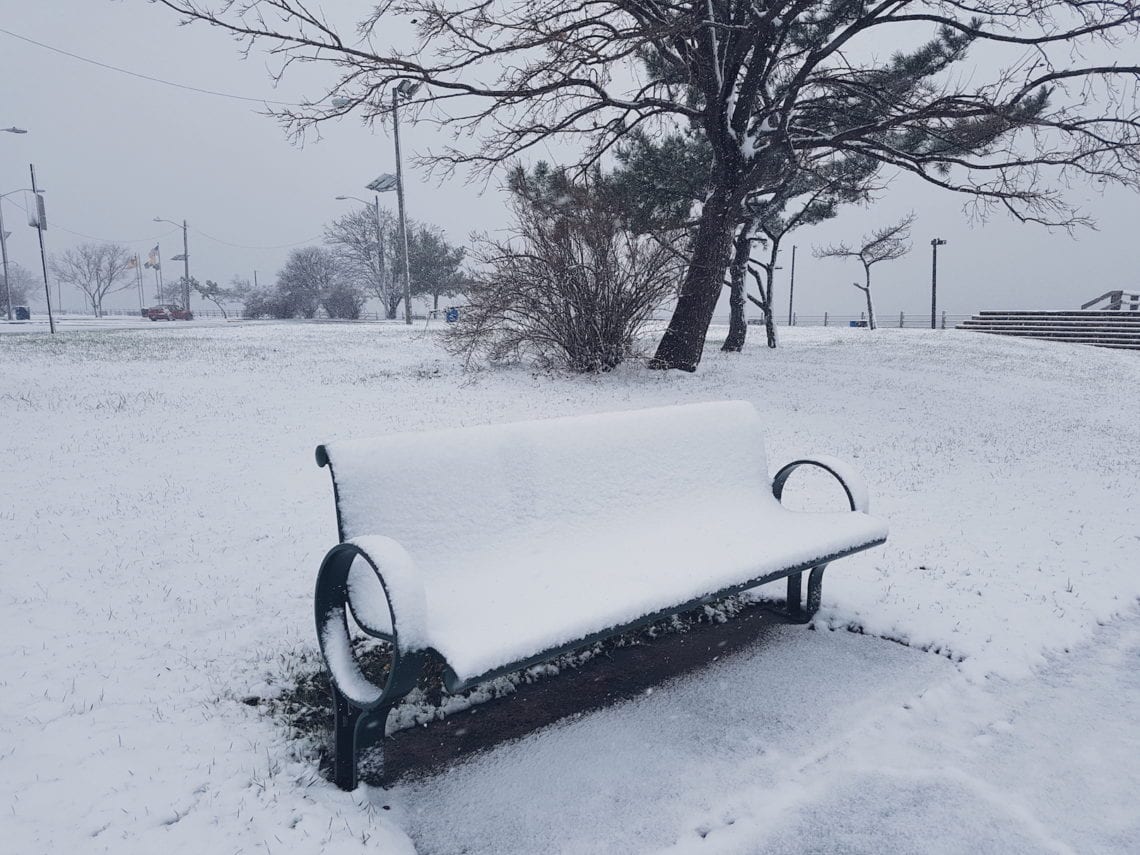 2017-12-09 04.33.02 1.jpg