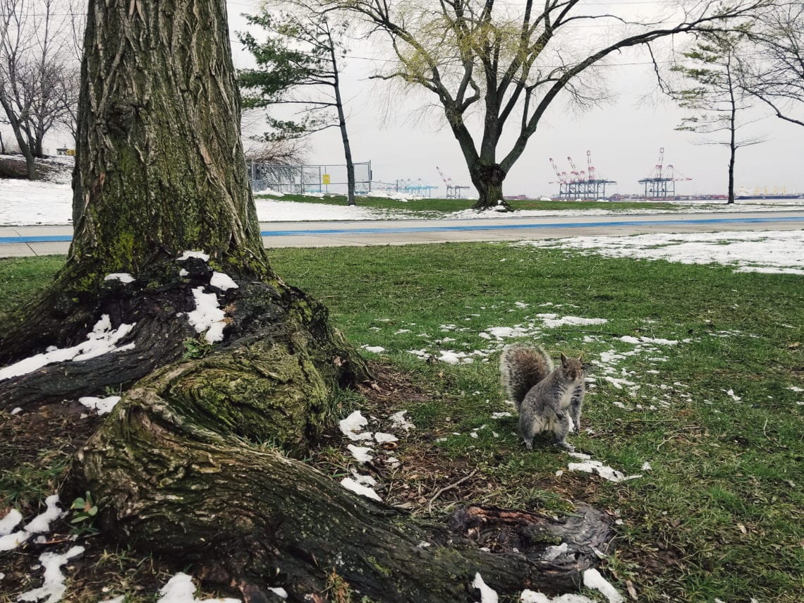 2018-04-03 08.52.28 1.jpg