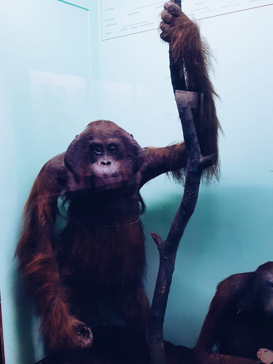 2017-04-07 02.43.09 1.jpg