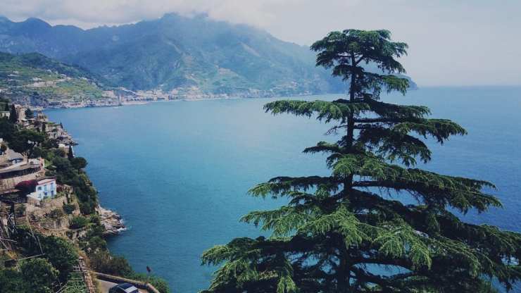 Processed with VSCO with a5 preset