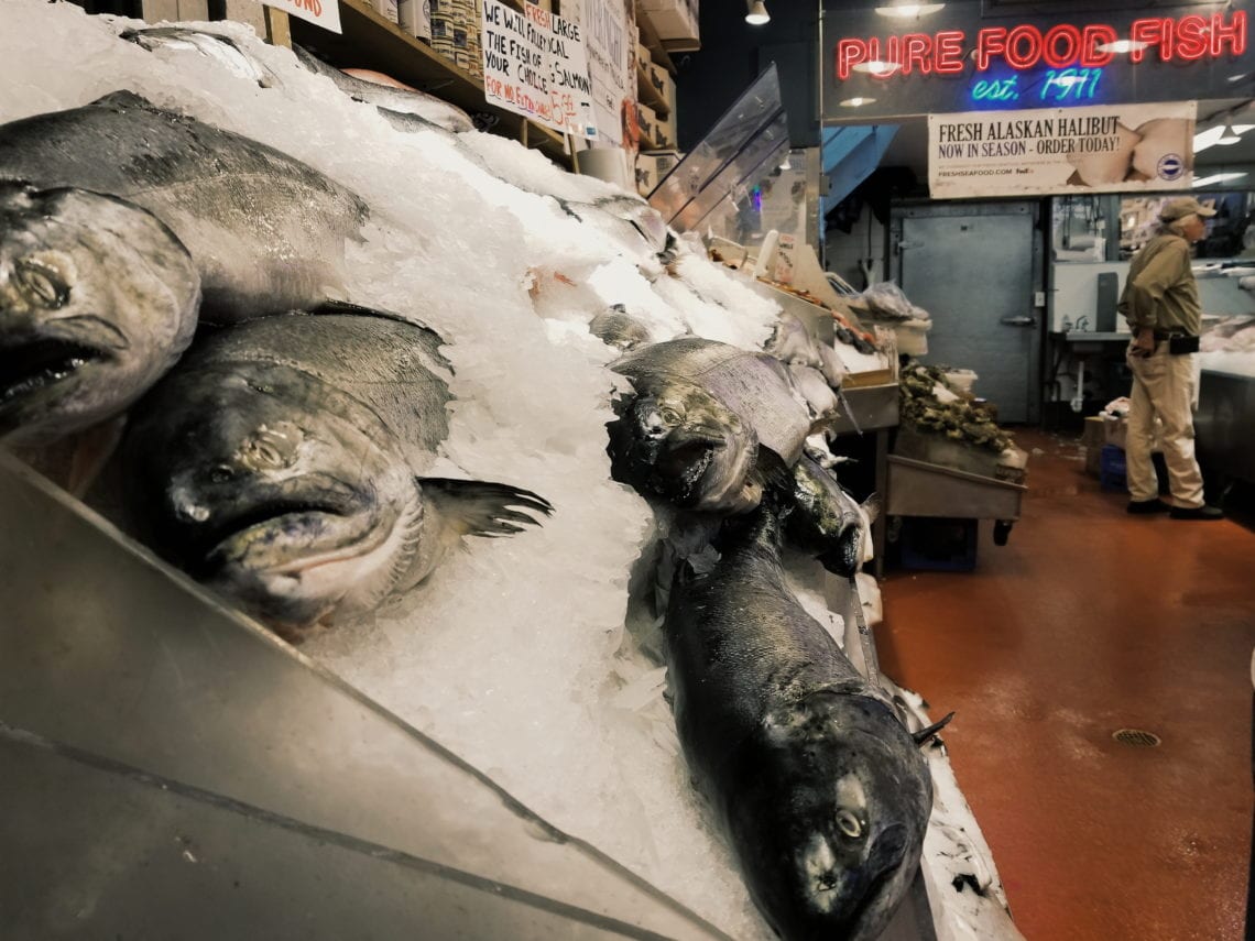 2018-04-25 04.05.56 1.jpg