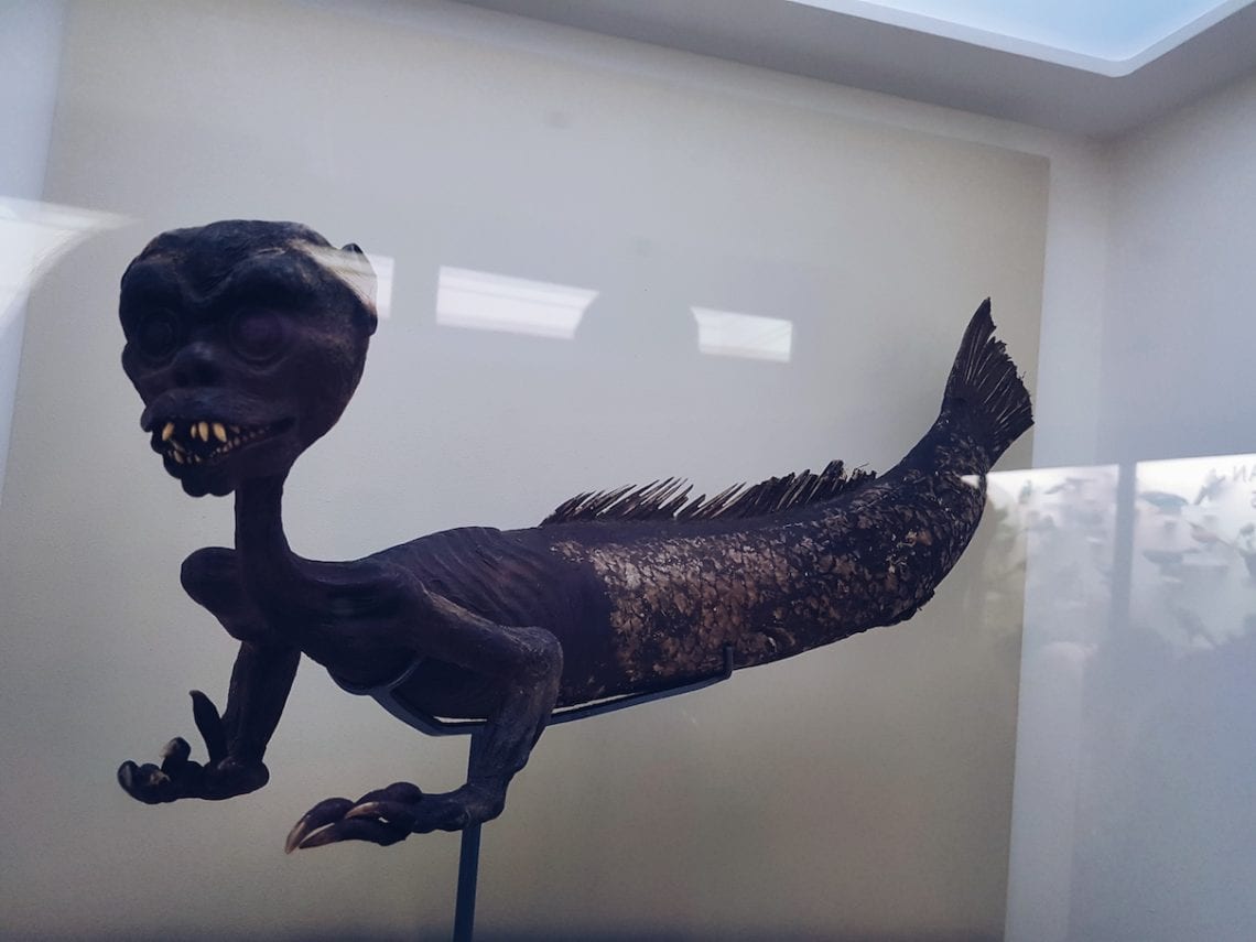 2017-04-07 02.42.57 1.jpg