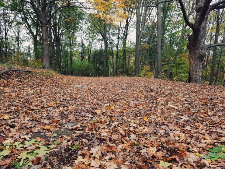 2017-11-01 04.27.26 1.jpg