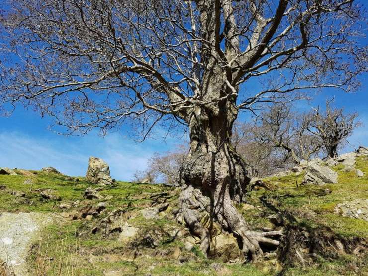 2017-03-26 07.27.32 1.jpg