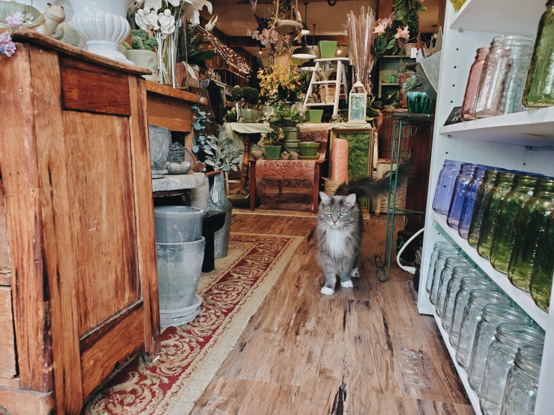 2019-06-27 12.00.46 1.jpg