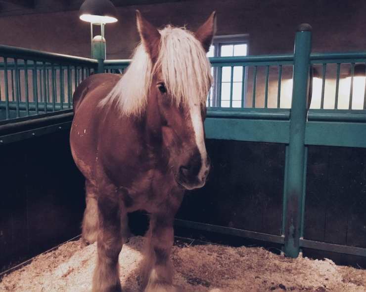 2017-12-07 12.04.30 1.jpg