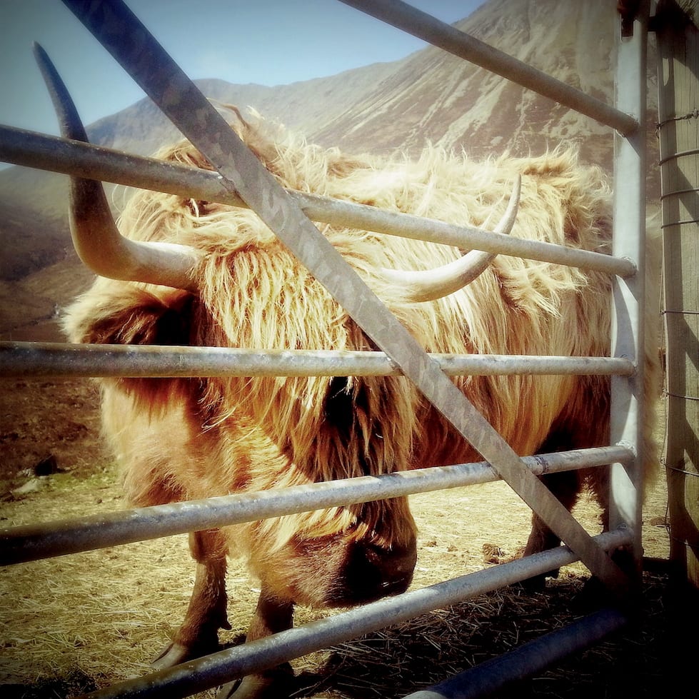 Processed with VSCO with  preset