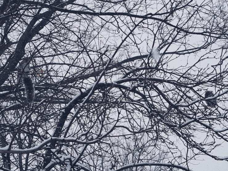 2017-12-09 02.38.59 1.jpg