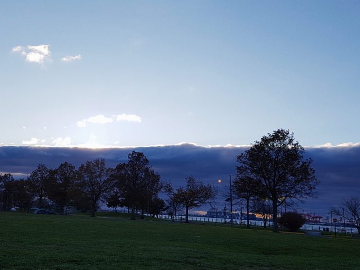 2017-11-23 07.07.08 1.jpg