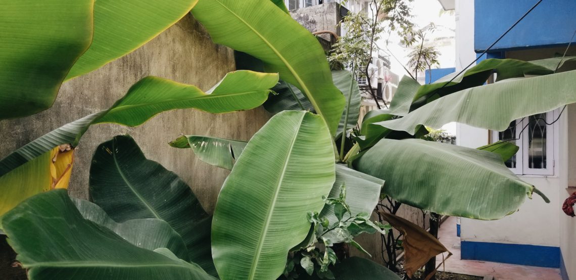 2019-01-04 10.05.06 2.jpg