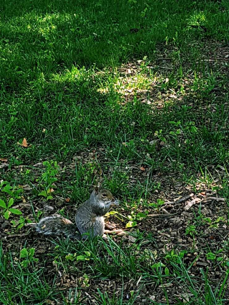 Processed with VSCO with c1 preset