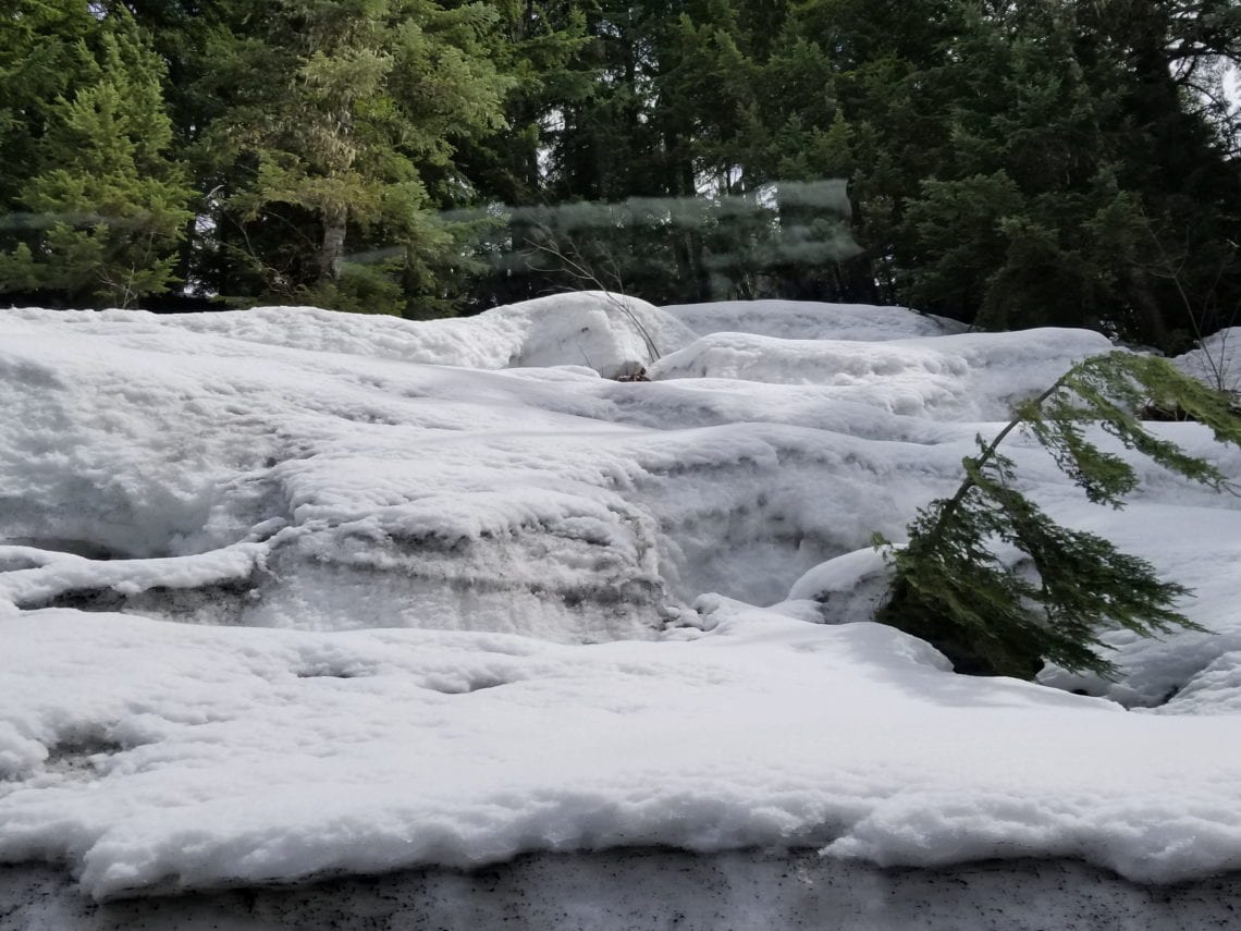 Processed with VSCO with preset