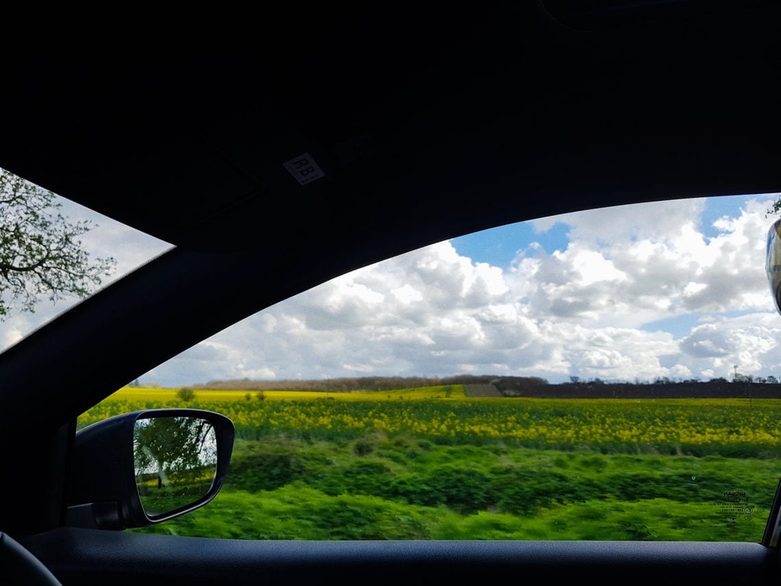 2017-04-01 08.05.03 1_1.jpg