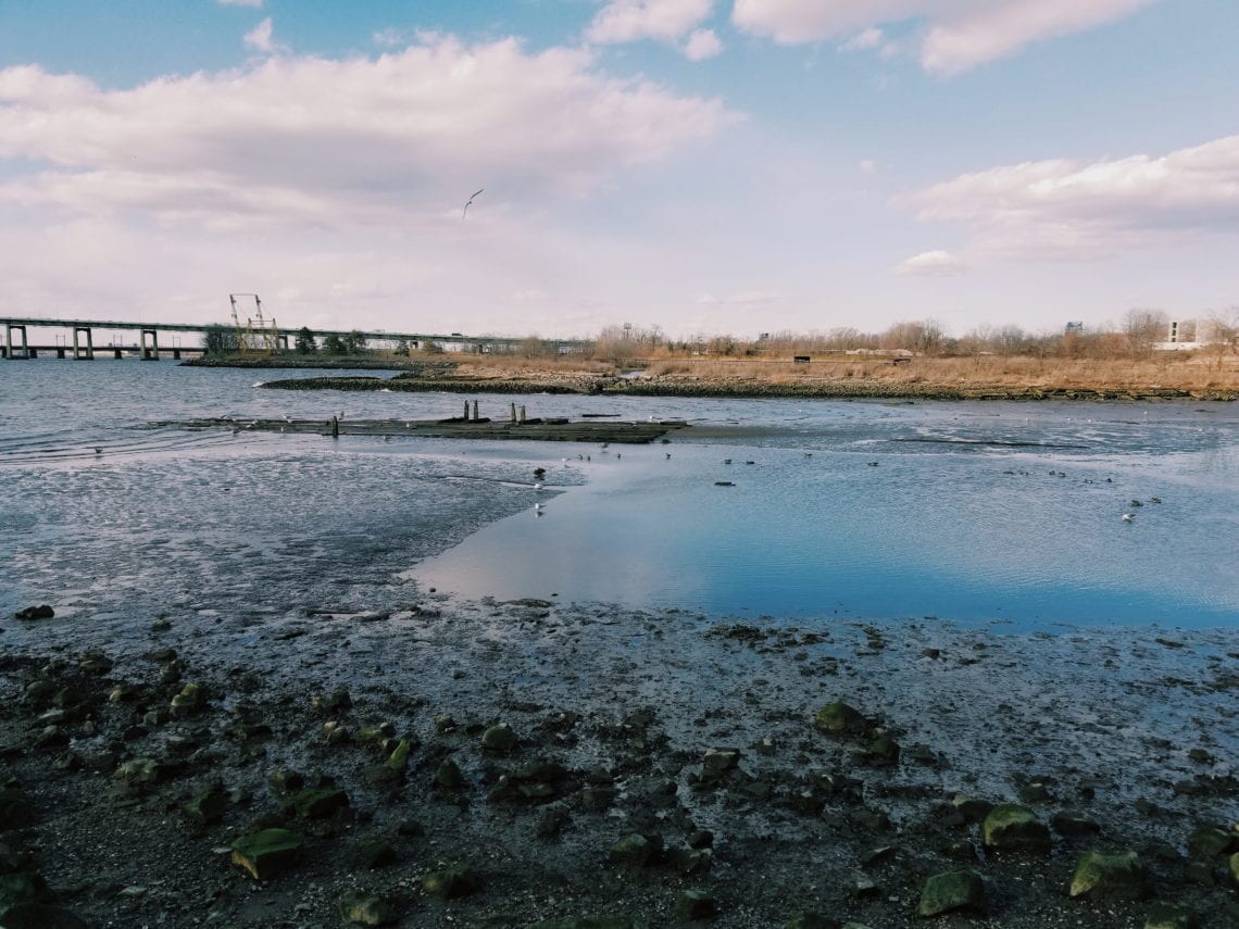 2018-04-07 04.38.31 1.jpg