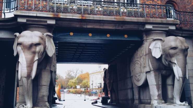 2017-12-07 12.04.32 1.jpg