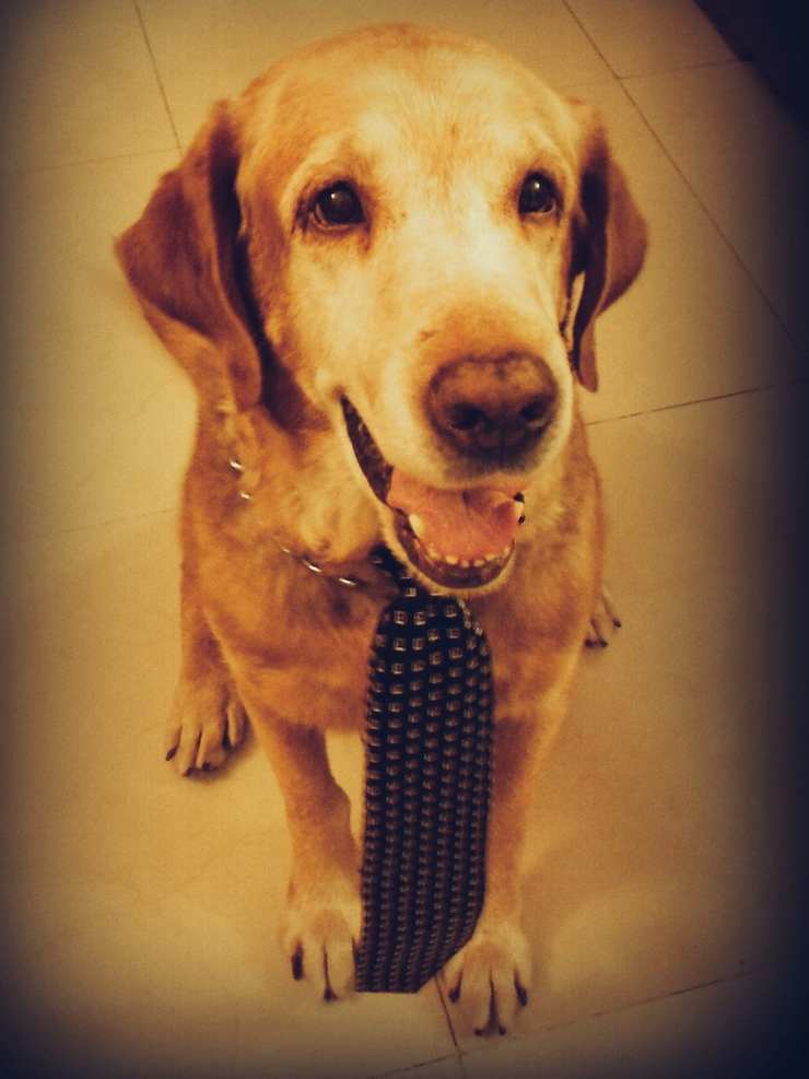 2017-03-30 12.04.30 1.jpg