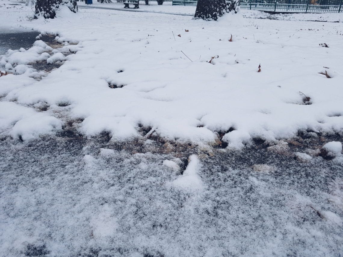 2017-12-09 02.53.47 2.jpg