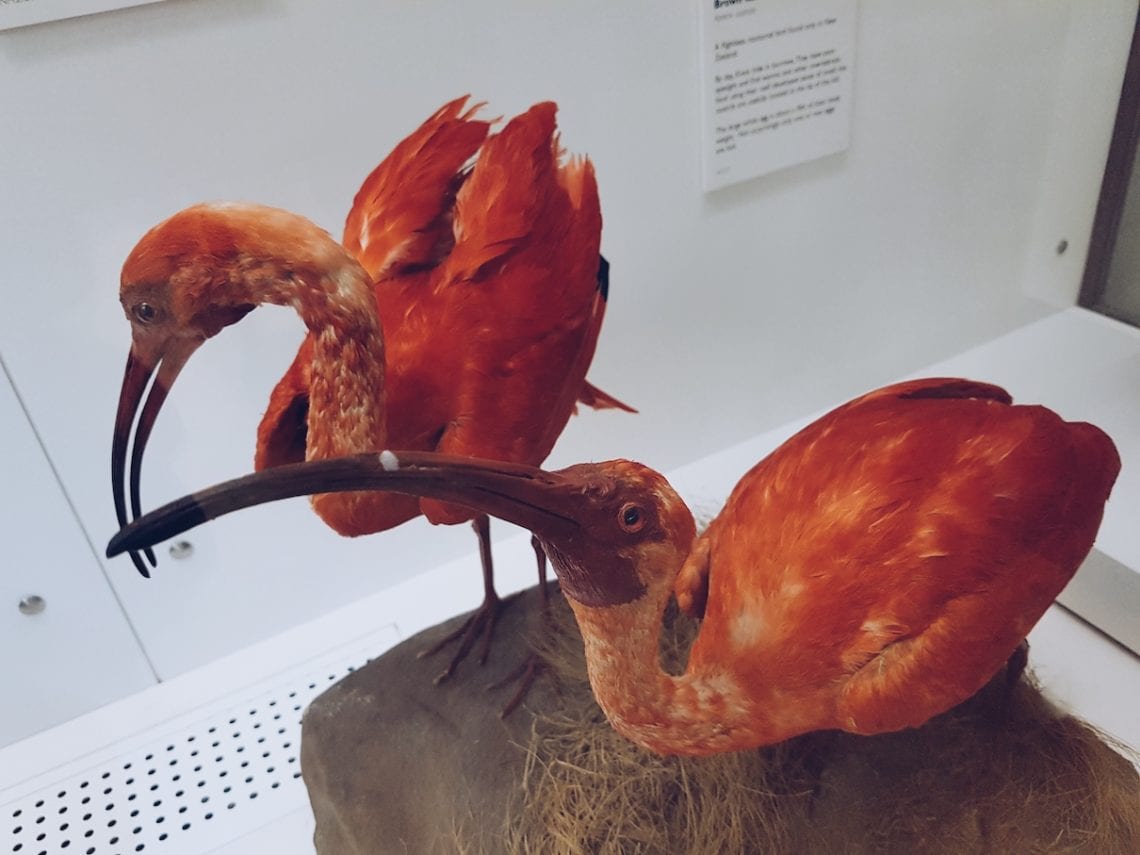 2017-04-07 02.42.59 1.jpg