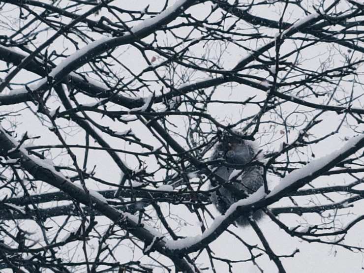 2017-12-09 02.38.57 2.jpg